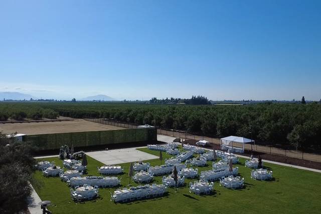 Overhead view of 300 guest set