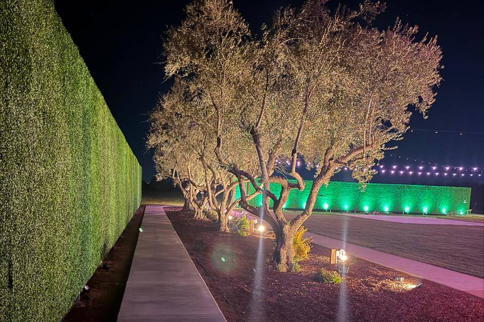 Stroll with venue view