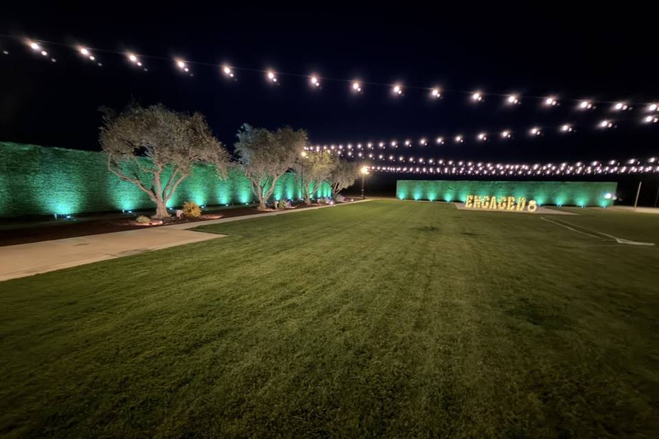 Lush Green Lawn