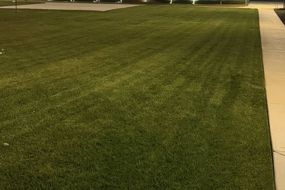 Green wall