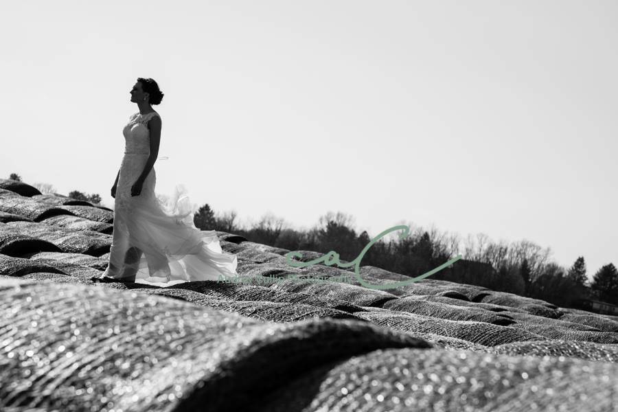 Audrey Cullip Photography