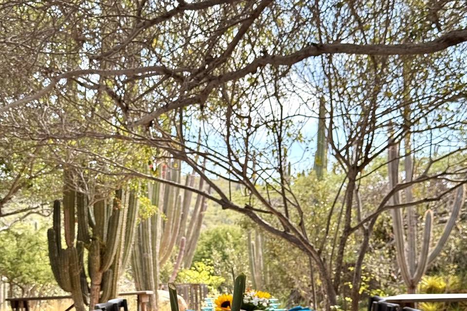Event in natural park