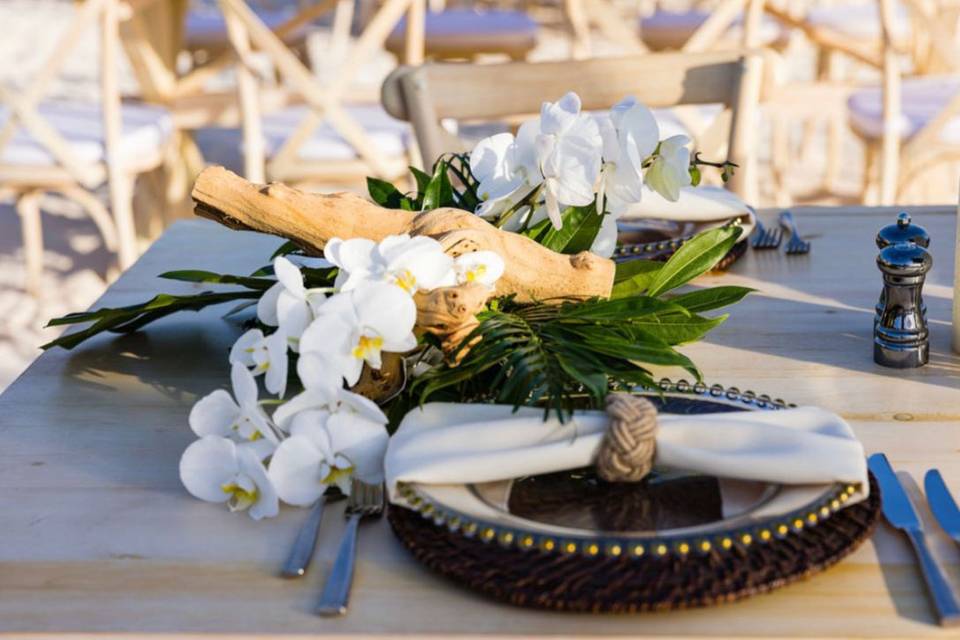 Orchids white