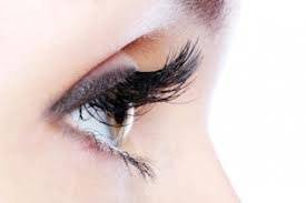Dream Lash Studio