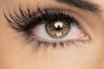 Dream Lash Studio
