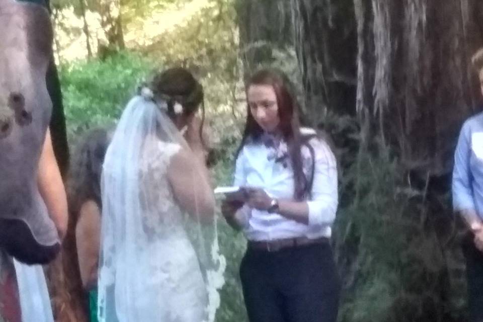 Gay wedding in the woods