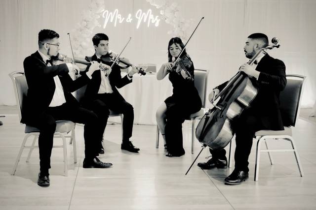 Sunset Chamber Strings