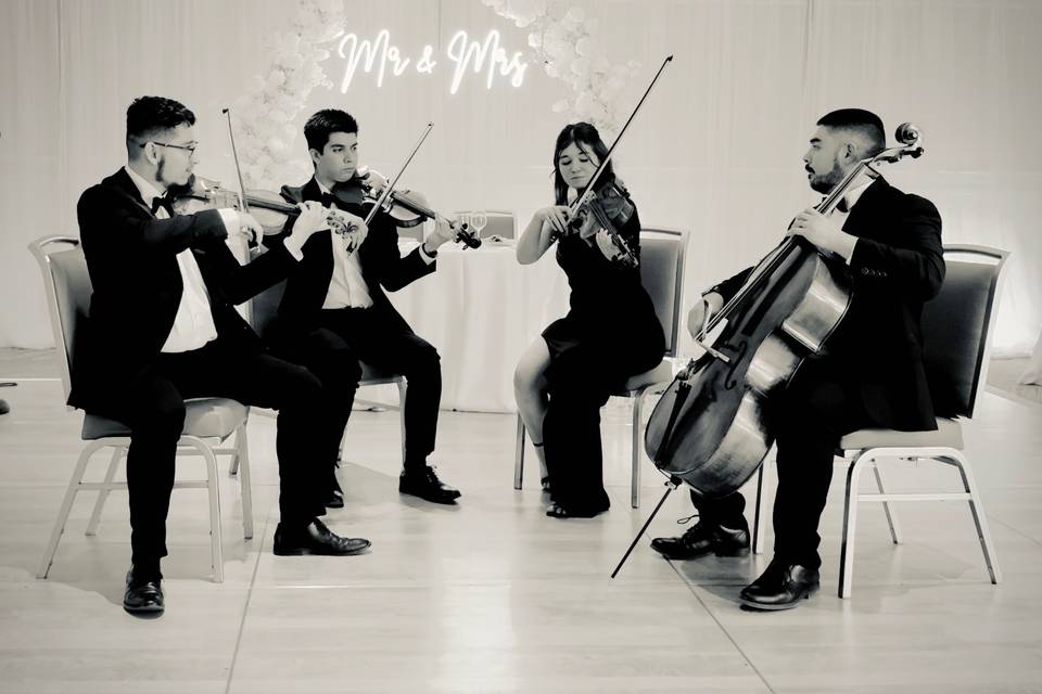 Sunset Chamber Strings