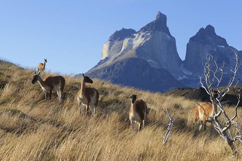 Patagonia views