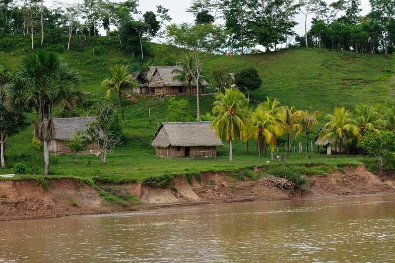 Peruvian Amazon