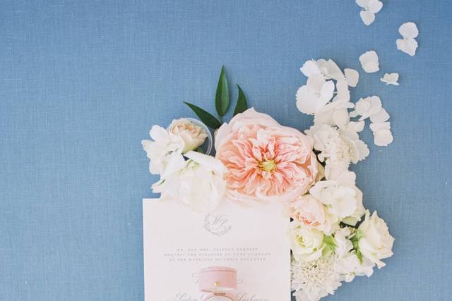 Anna Taylor Photography