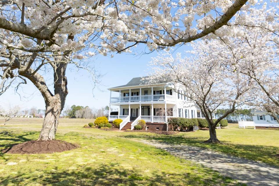 The Palmer Inn Estate