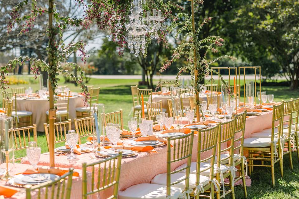Dorota Kight Photography
