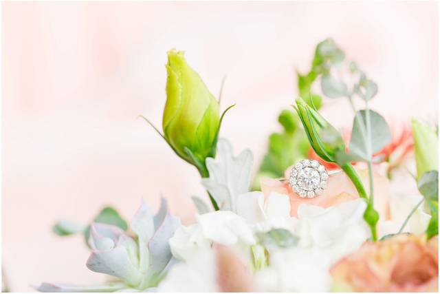 Megan Kelsey Photography