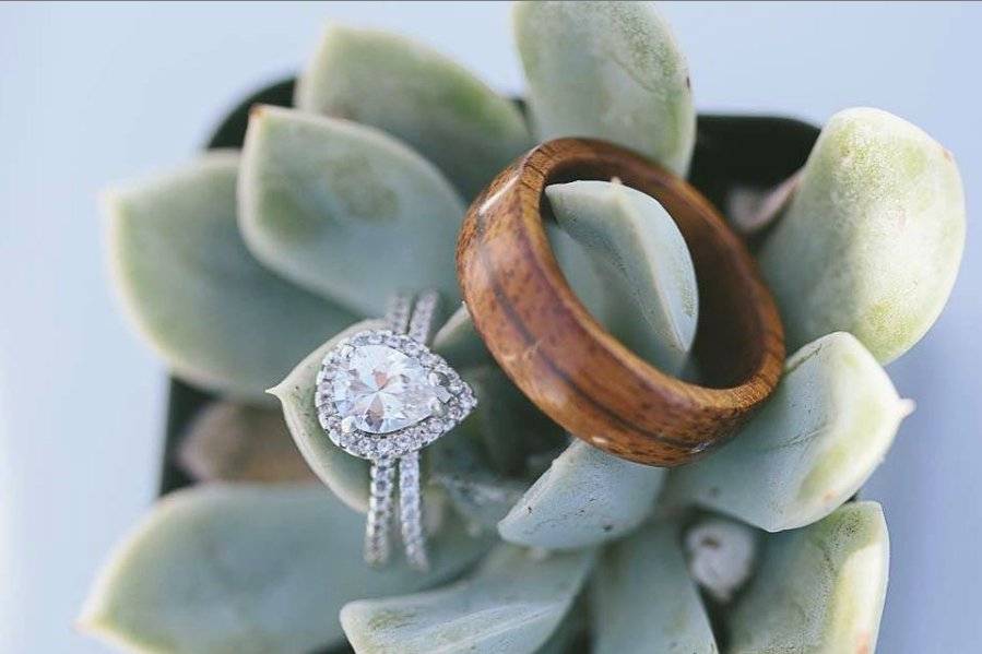 Rings on succulent favors #eco