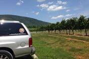 Central Virginia Wine Tours & Transportation