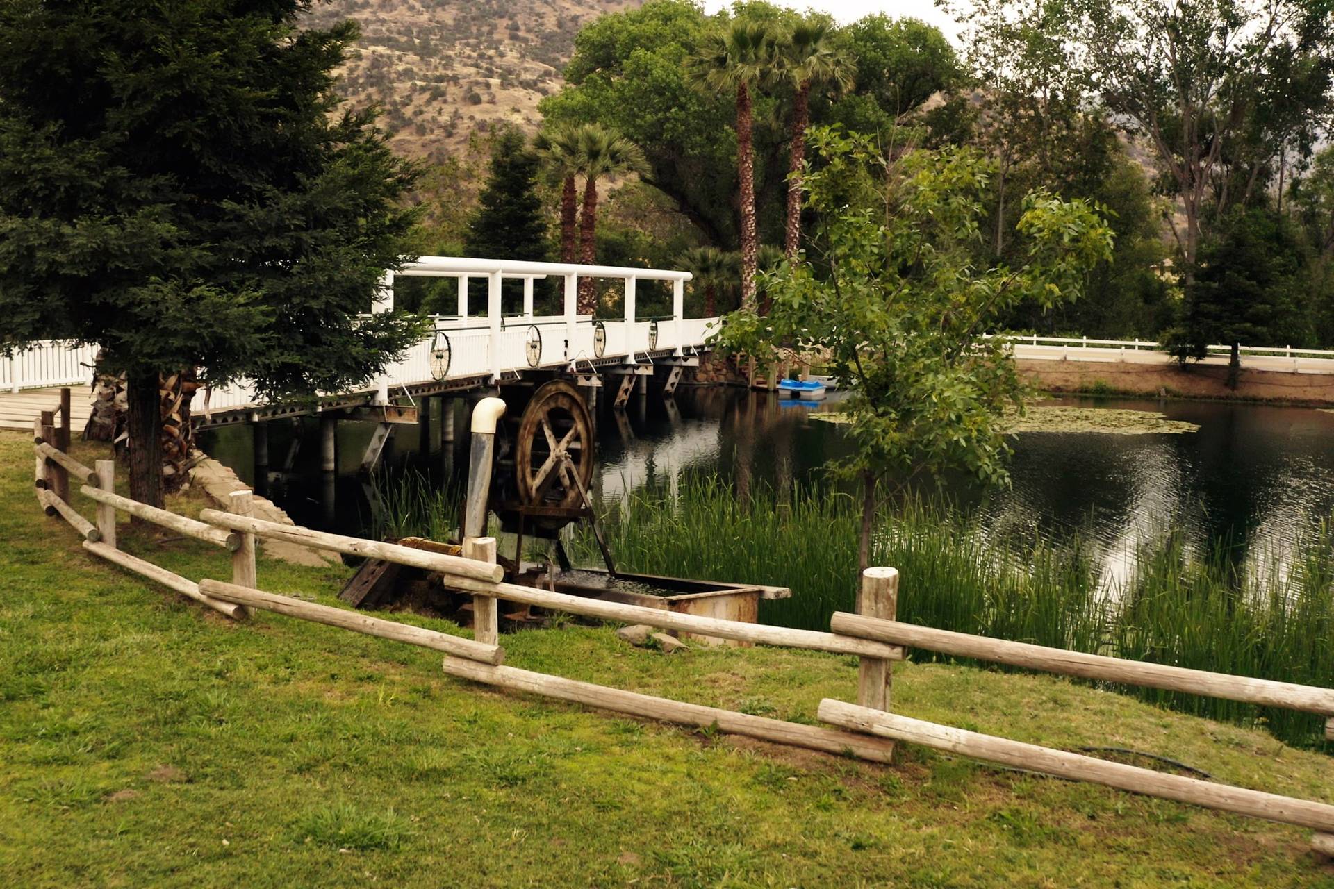 Springville Ranch - Venue - Springville, CA - WeddingWire