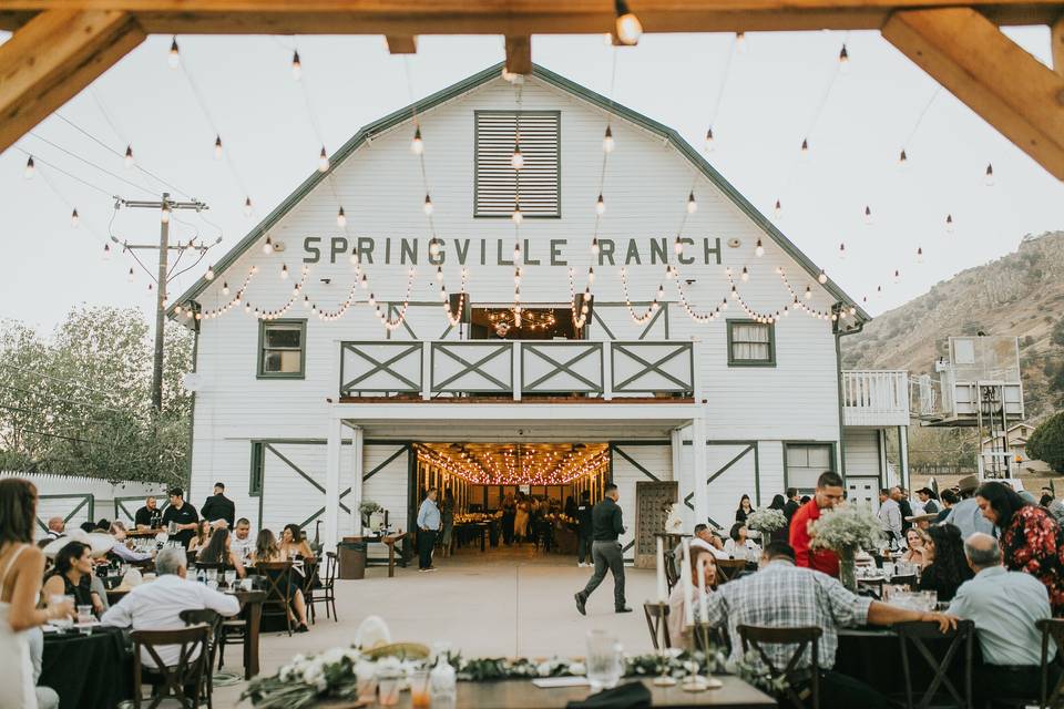 Springville Ranch