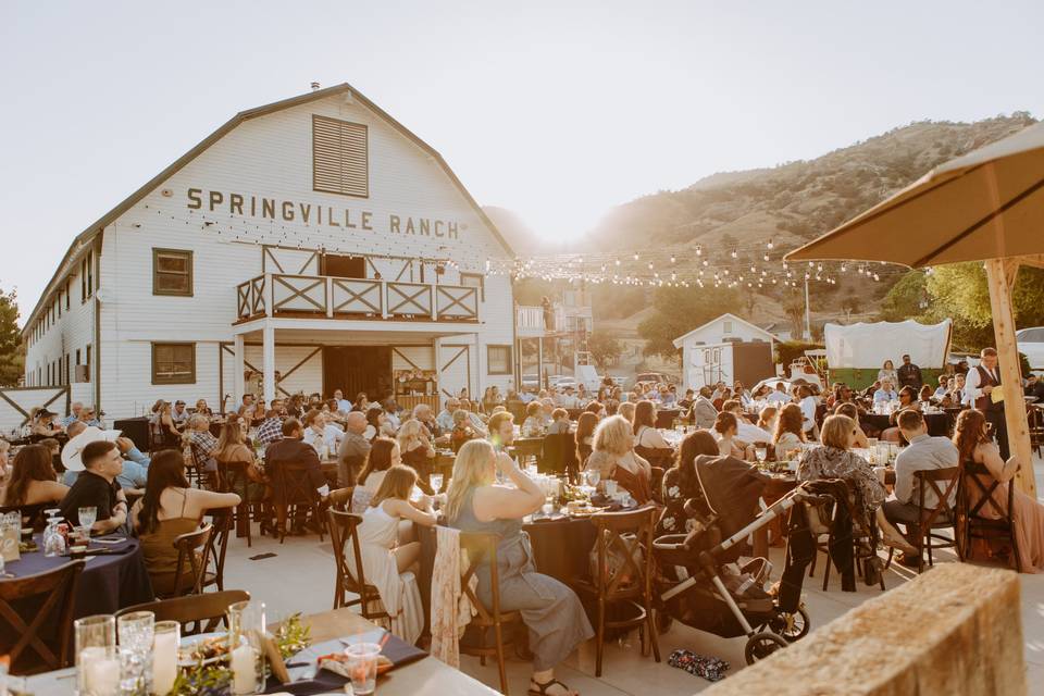 Springville Ranch