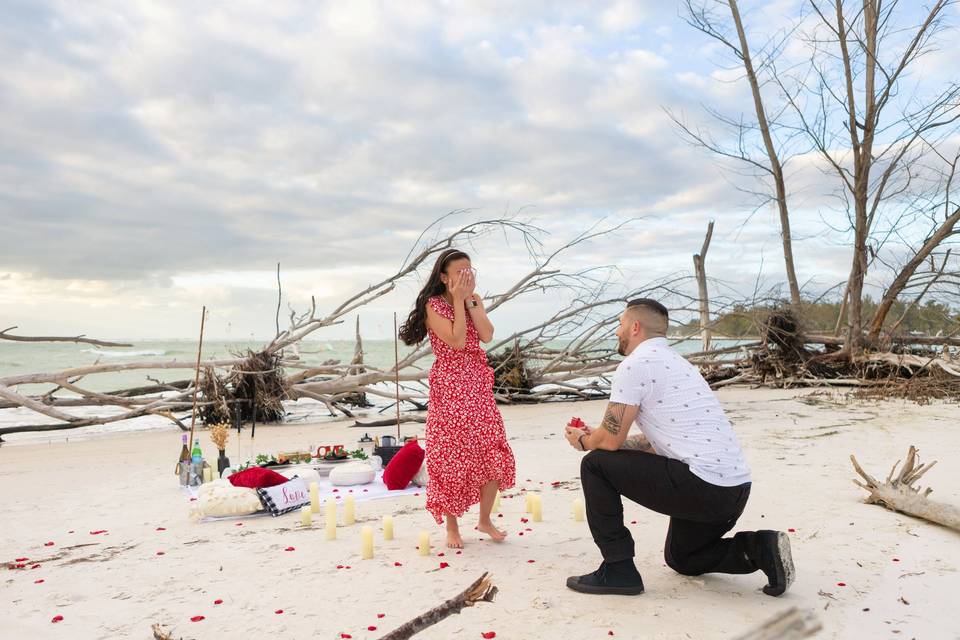 Beer Can Island Proposal