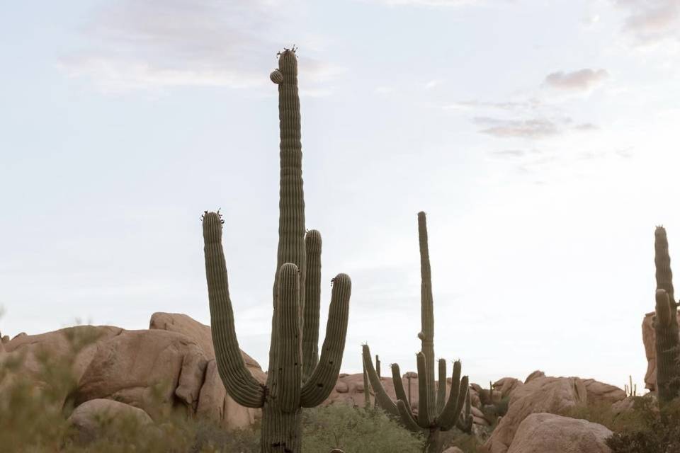 The Boulders at Skyrise