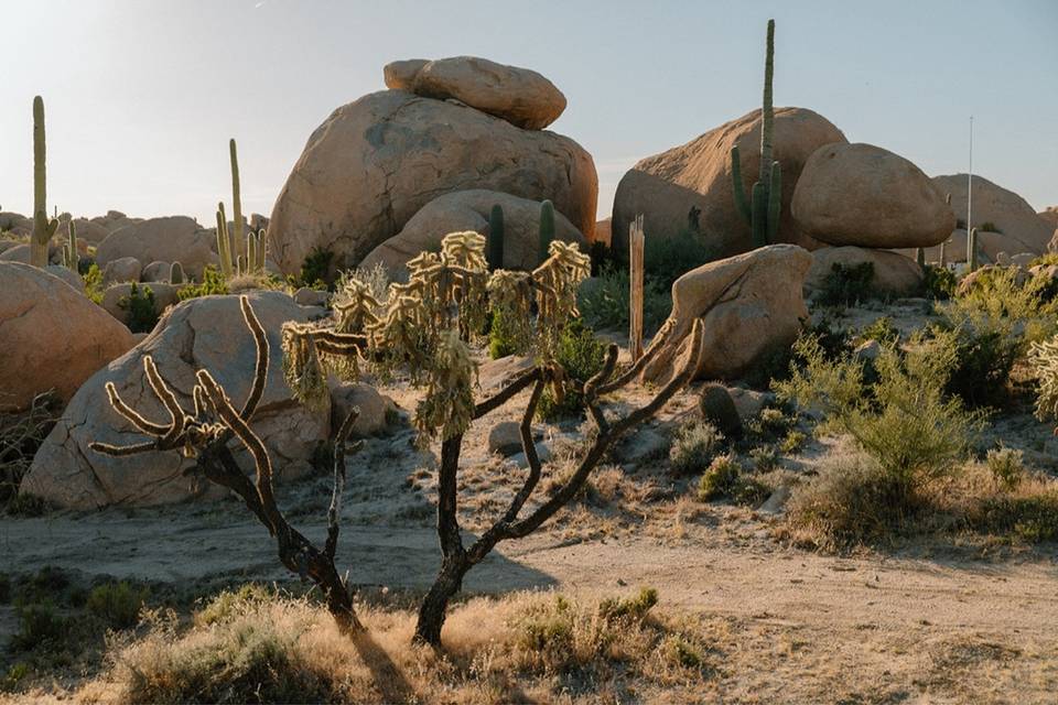 The Boulders at Skyrise