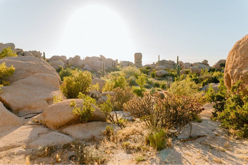 The Boulders at Skyrise