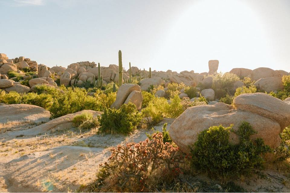 The Boulders at Skyrise