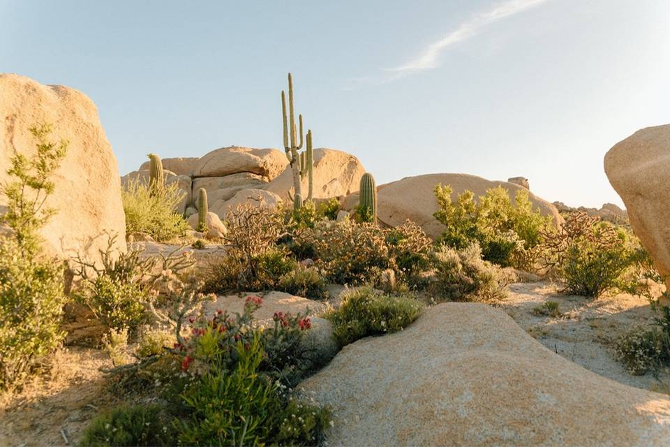The Boulders at Skyrise