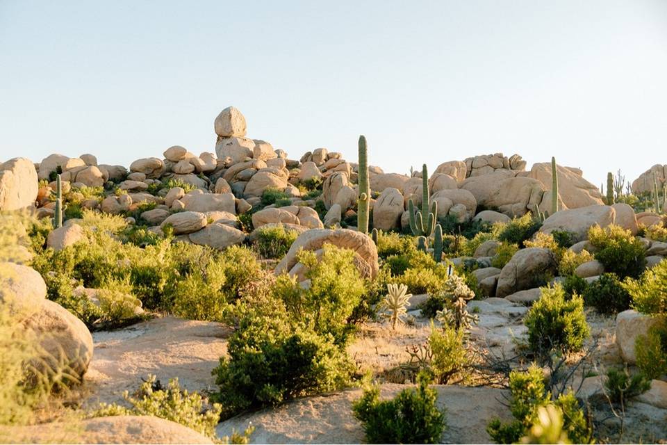 The Boulders at Skyrise