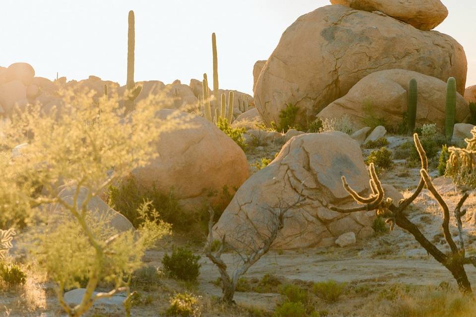 The Boulders at Skyrise