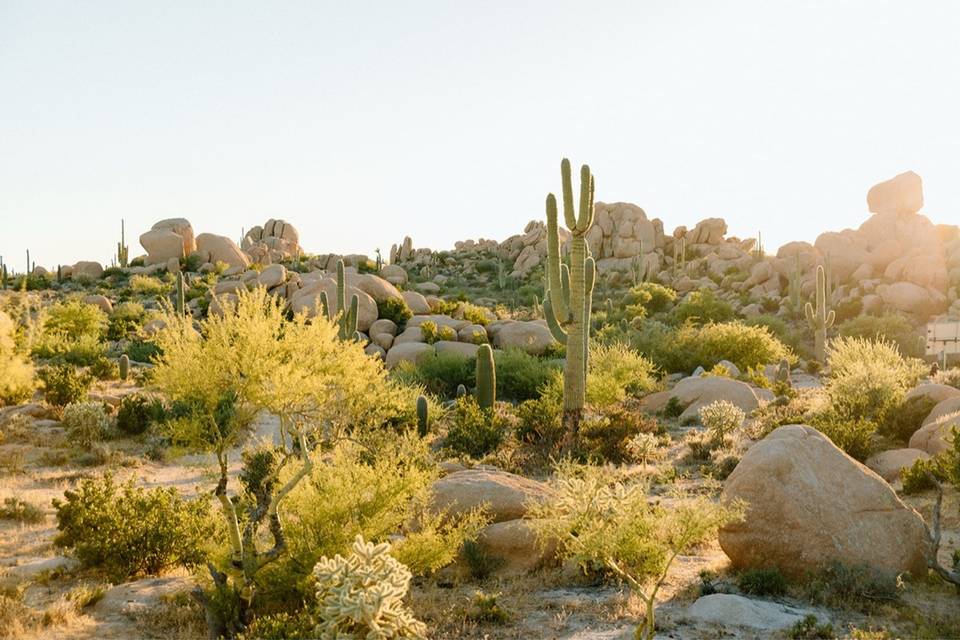 The Boulders at Skyrise
