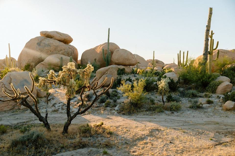 The Boulders at Skyrise