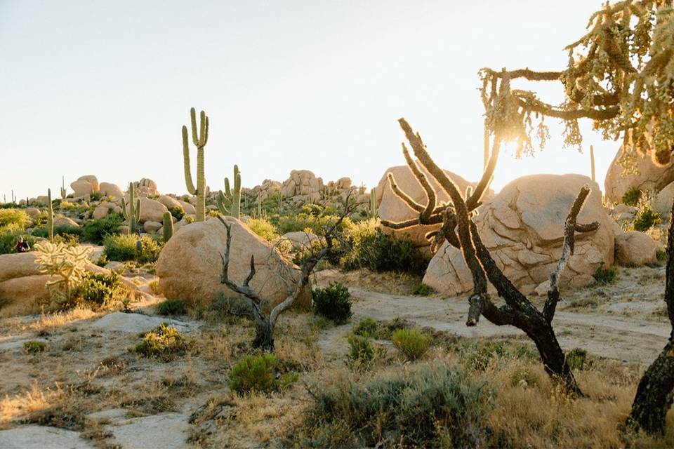 The Boulders at Skyrise