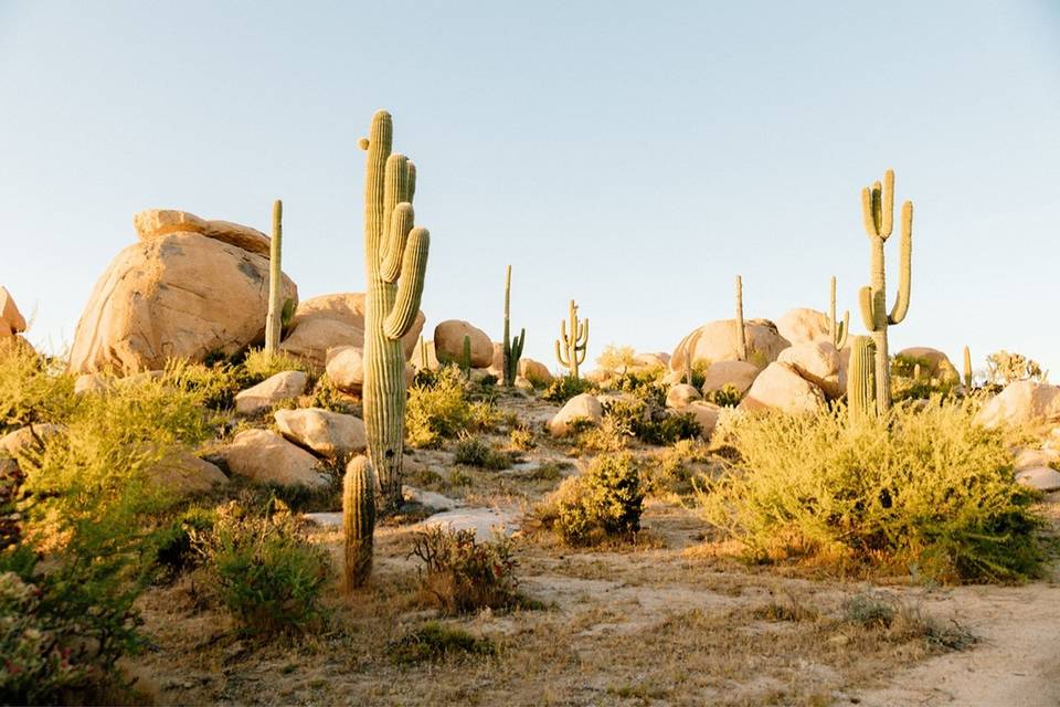 The Boulders at Skyrise