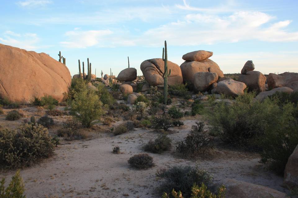 The Boulders at Skyrise