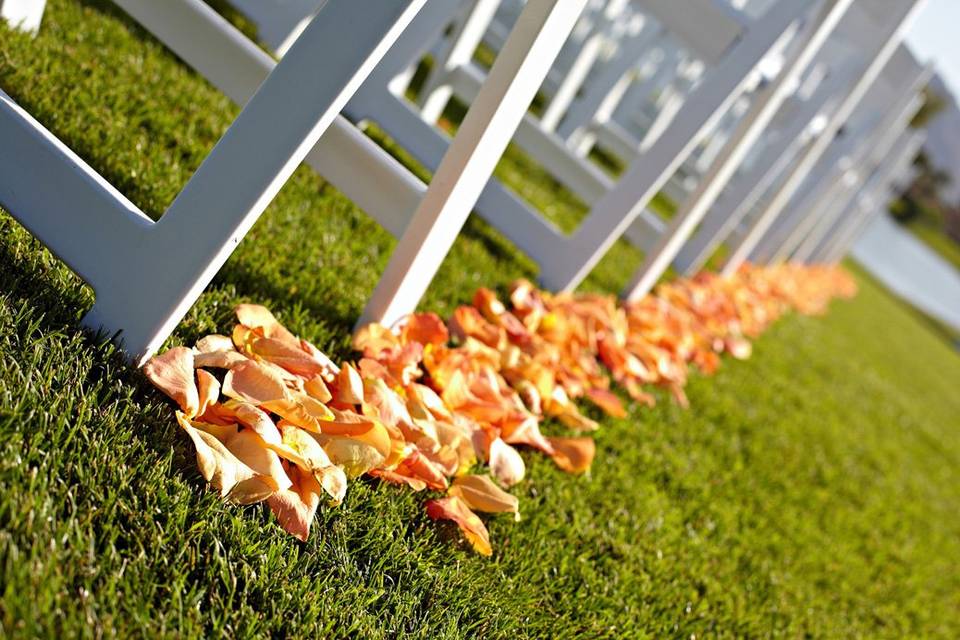 Petals lining the aisle