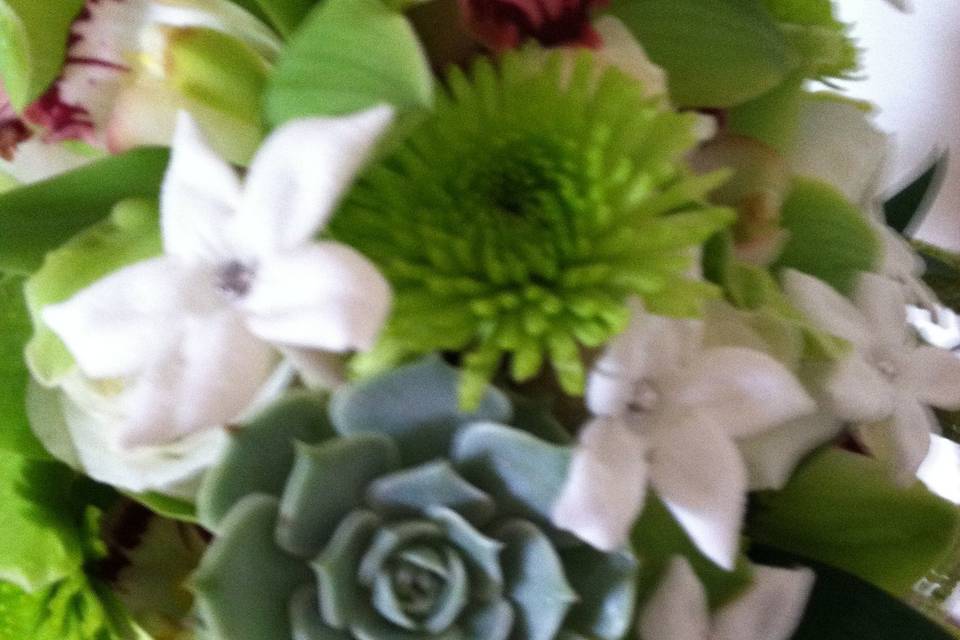 Flower arrangement with succulents