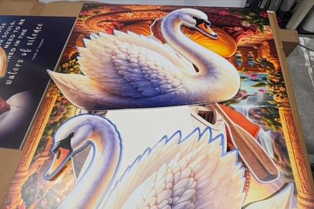 Foam Swan cut outs