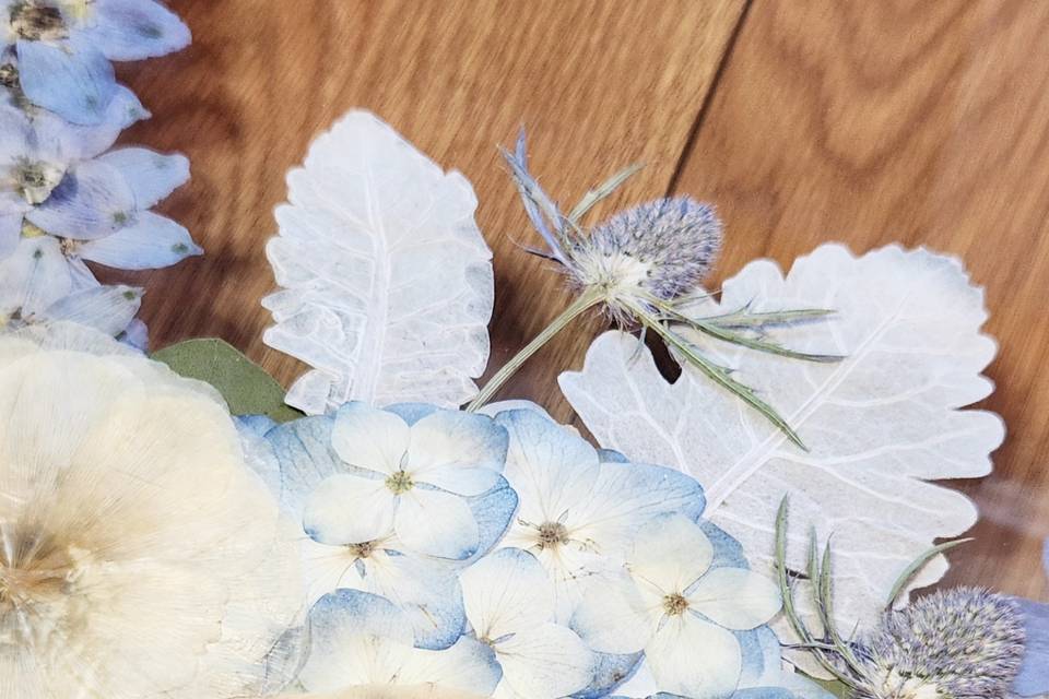 Pressed Hydrangeas