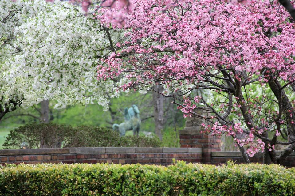 Pegasus Fountain in spring