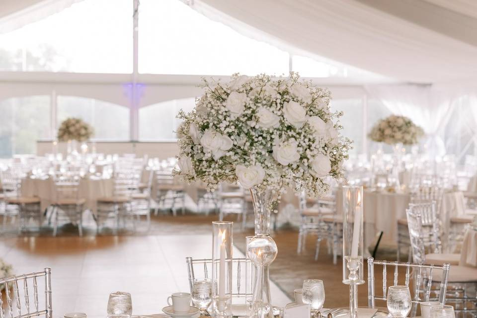 Garden Tent
