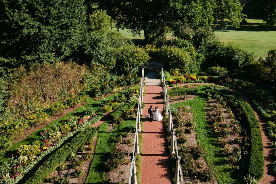Rose Garden