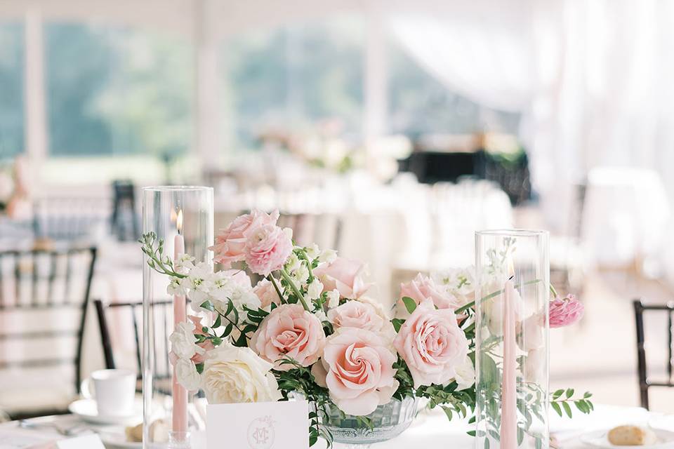 Garden Tent