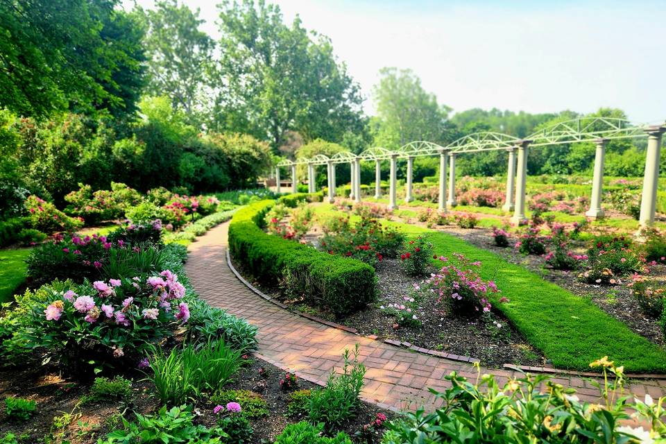 Rose Garden