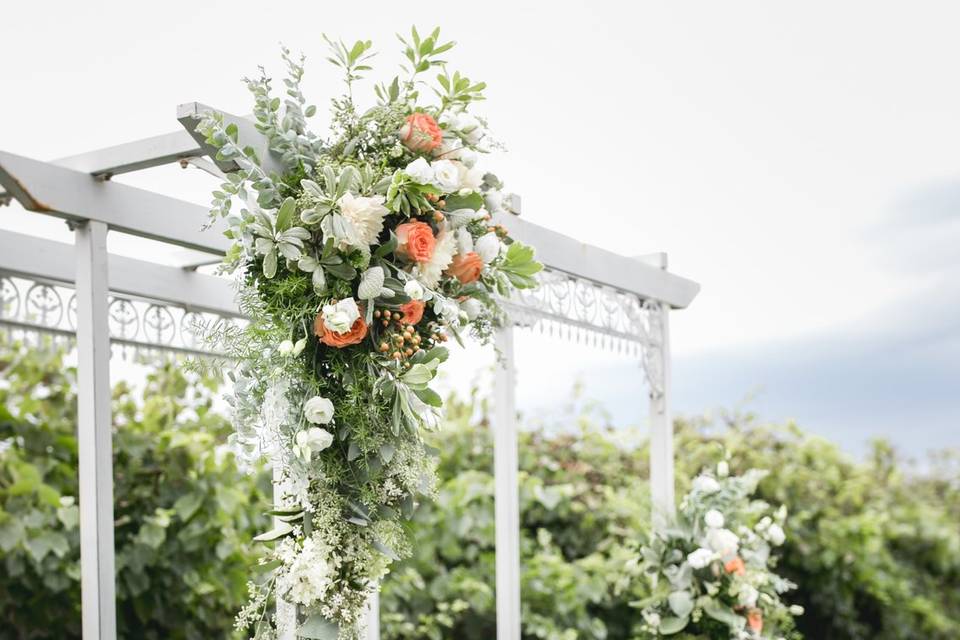 Aisling Hall Arbor