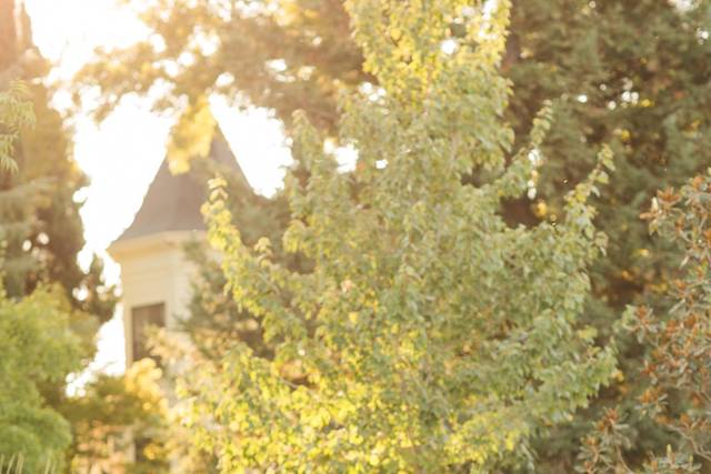 Golden Hour at Park Winters