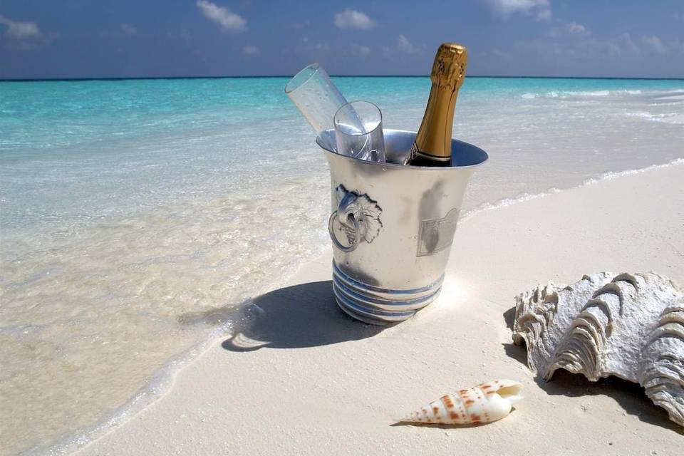 Champagne Toast