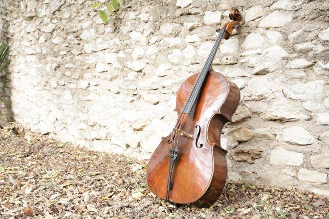 The cello