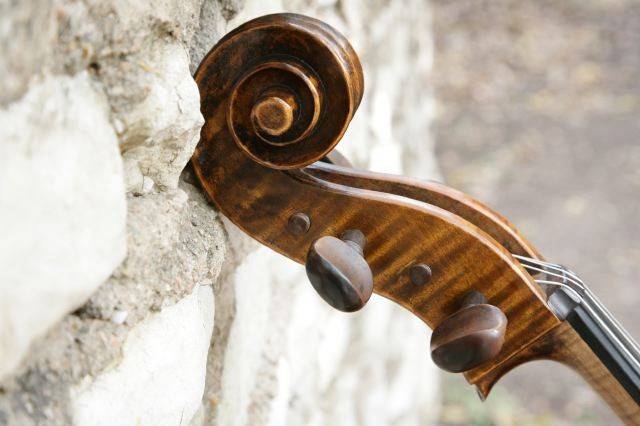 The head of the cello